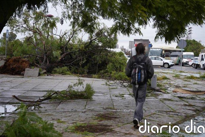 Las tormentas dejarán mañana chubascos fuertes y granizo en la mitad norte y pondrán en aviso a ocho comunidades