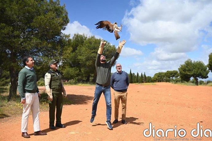 Liberada en el Parque de la Dehesa del Generalife de Granada un águila calzada recuperada en el CREA El Blanqueo