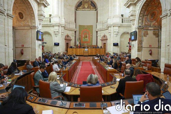 Los 109 diputados electos del nuevo Parlamento andaluz de la XIII legislatura