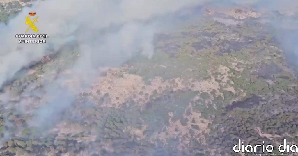Los bomberos tratan de estabilizar el incendio que ha arrasado más de 250 hectáreas en Doñana