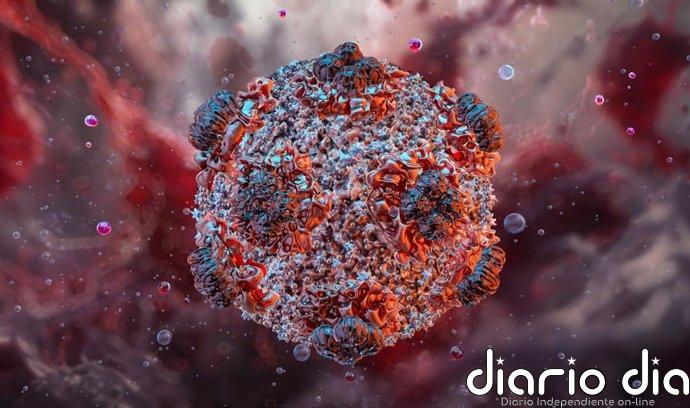 Los contactos de hantavirus de Alicante y Barcelona recibirán visitas si confirman su negativo en otra PCR