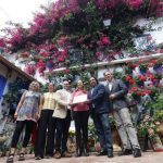 Los patios de los números 7, 43, 44 y 7 de las calles Guzmanas, Barrionuevo, San Basilio y San Rafael ganan el concurso
