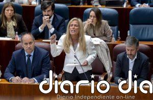 Madrid reprocha al Gobierno no aprobar el IVA franquiciado a los autónomos y "asfixiarles" a impuestos