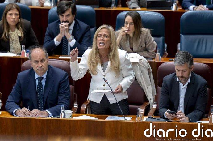 Madrid reprocha al Gobierno no aprobar el IVA franquiciado a los autónomos y "asfixiarles" a impuestos