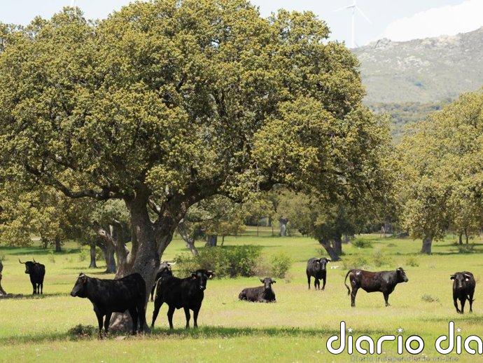 Más de 1.000 ganaderías europeas ayudan a entender mejor el sector desde el territorio