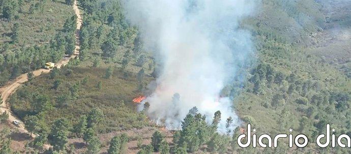Más de 15 medios desplegados para controlar un incendio forestal en Serradilla del Llano (Salamanca)