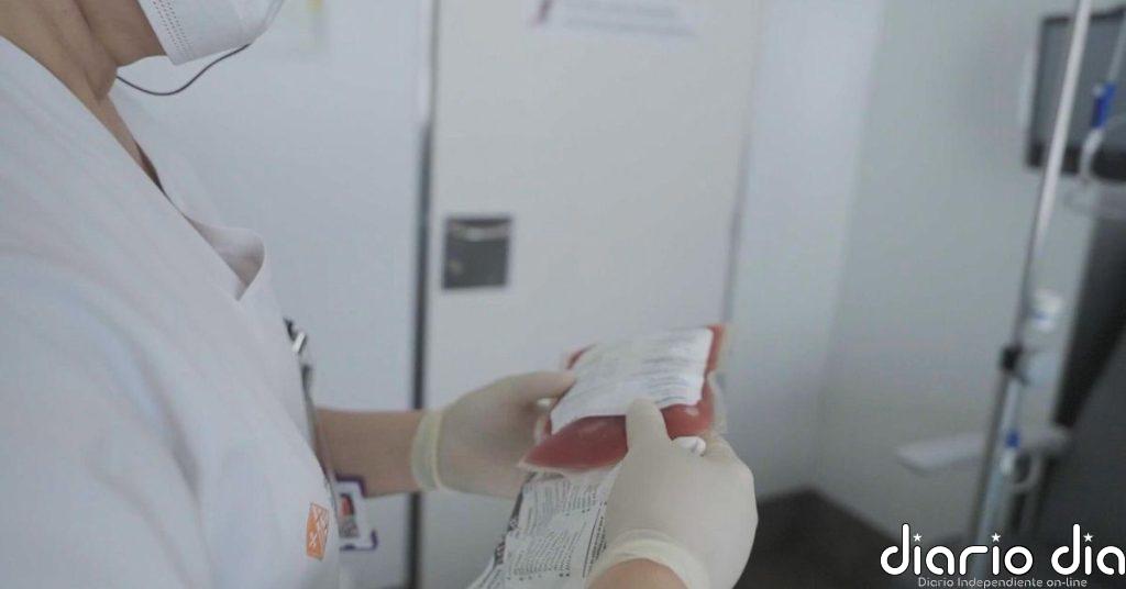 Medio siglo del primer trasplante de médula ósea en España: una historia que abrió camino a miles de vidas