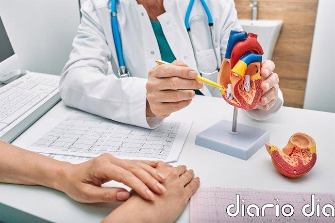 Miocardiopatía hipertrófica: el nuevo método que mejora la predicción del riesgo en una enfermedad cardíaca silenciosa