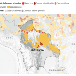 Motosierras raspan piel boscosa latinoamericana