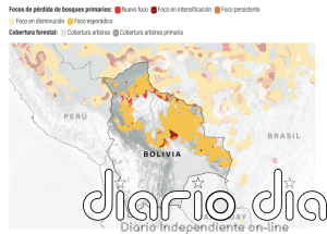 Motosierras raspan piel boscosa latinoamericana