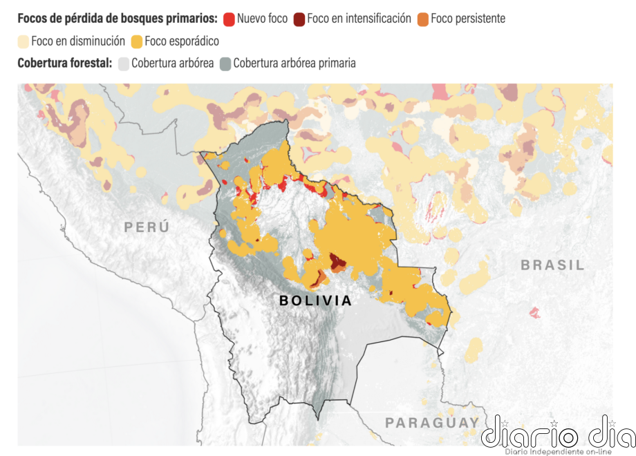 Motosierras raspan piel boscosa latinoamericana