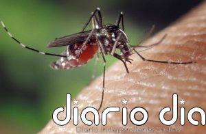 Ni ébola ni hantavirus: un virus menos letal podría expandirse en Europa por el cambio climático