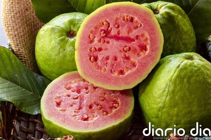 Ni naranja ni limón: la guayaba tiene 4 veces más vitamina C y la ciencia la avala contra la anemia