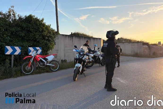 Persecución policial en Palma: un joven a la fuga embiste a un agente y casi atropella a dos familias con menores