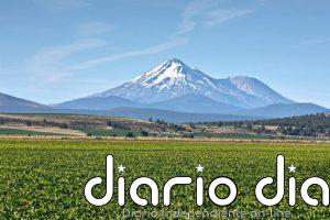 Planasa, filial de EW Group, adquiere la empresa de mejora genética de maíz dulce IFSI