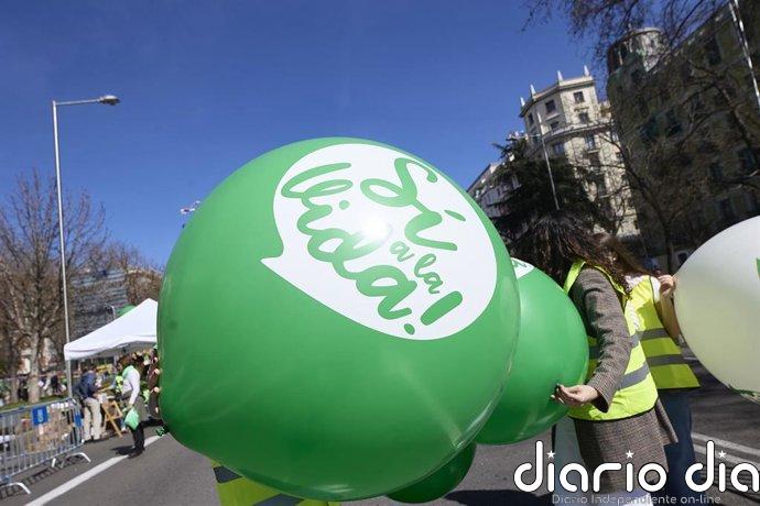 Provida se manifestarán este domingo en Madrid contra el blindaje del aborto en la Constitución y la ley de eutanasia
