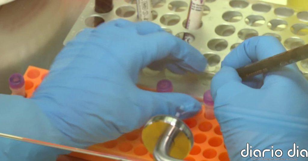 Realización y análisis de los PCR de hantavirus