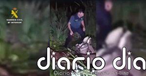 Rescatan a un jinete atrapado con su propio caballo en una zona de lodos en la aldea de El Rocío (Almonte, Huelva)
