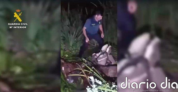 Rescatan a un jinete atrapado con su propio caballo en una zona de lodos en la aldea de El Rocío (Almonte, Huelva)
