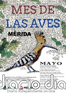 Rutas de observación y talleres infantiles componen la XII edición del 'Mes de las aves de Mérida' que empieza el martes
