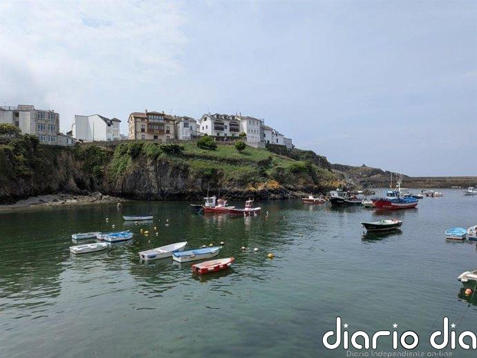 Seis ONG piden al Congreso "cerrar el vacío regulatorio que permite lucrarse de la pesca ilegal"