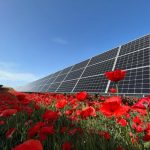 Solaria dispara un 50% su beneficio a marzo, hasta 80,36 millones