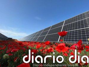 Solaria dispara un 50% su beneficio a marzo, hasta 80,36 millones