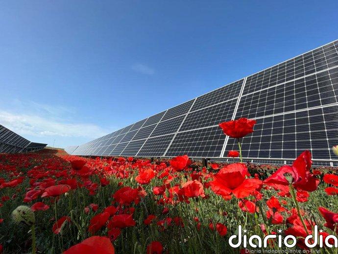 Solaria dispara un 50% su beneficio a marzo, hasta 80,36 millones