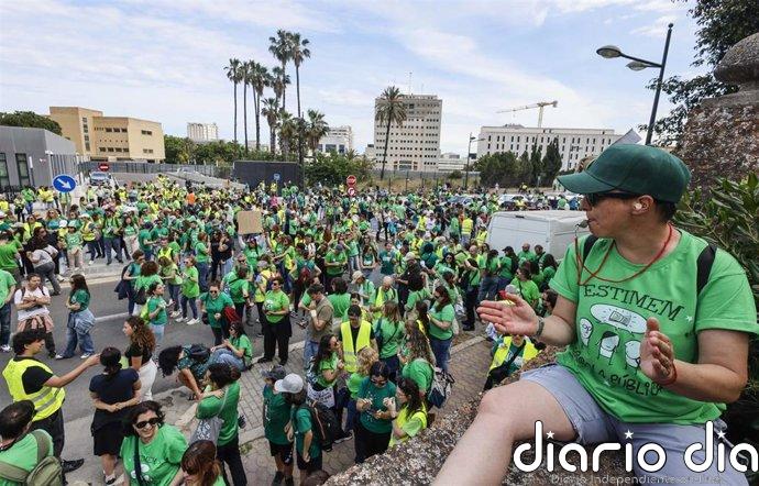 STEPV, CCOO y UGT lanzan a las 9h de mañana un formulario para que docentes se pronuncien sobre la oferta de Educación