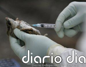 Tres muertos por hantavirus en un crucero de lujo que partió desde Argentina hacia Canarias