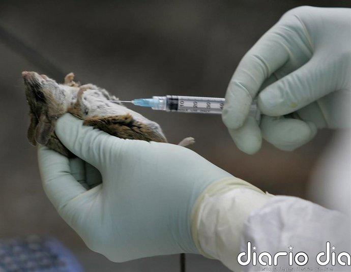 Tres muertos por hantavirus en un crucero de lujo que partió desde Argentina hacia Canarias