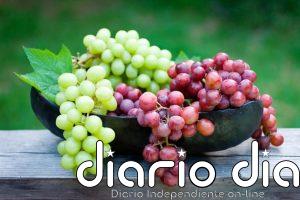 Tres porciones diarias de uvas podrían hacer la piel más resistente a la radiación ultravioleta