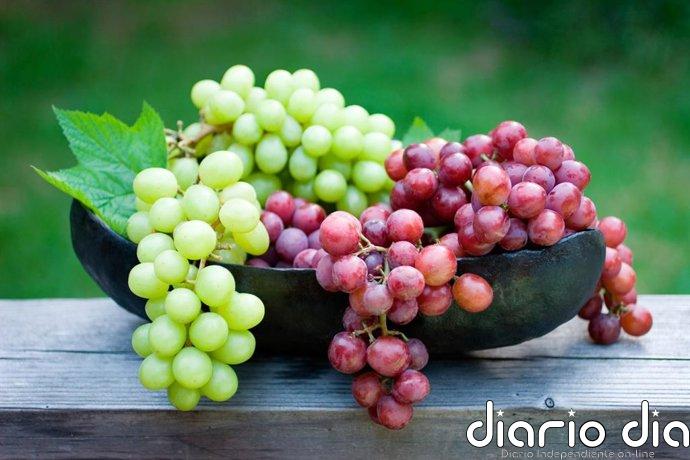 Tres porciones diarias de uvas podrían hacer la piel más resistente a la radiación ultravioleta