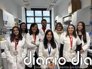 Un estudio de la UMU descubre cómo un posible fármaco para tratar el lupus podría frenar el cáncer cerebral más agresivo
