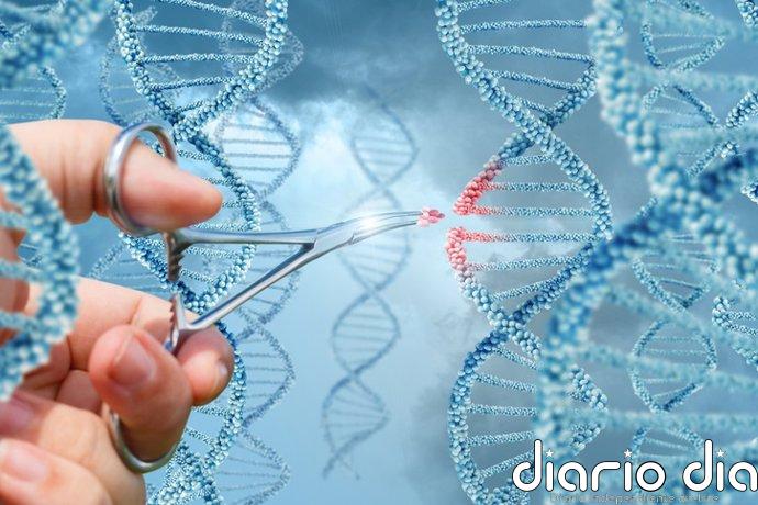 Un nuevo tipo de CRISPR podría tratar infecciones virales y cáncer destruyendo el ADN de las células enfermas