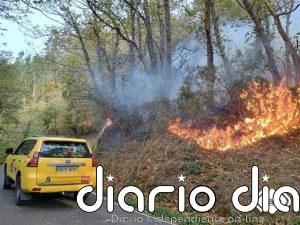 Un total de 46 municipios asturianos están hoy en riesgo 'alto' de incendio forestal