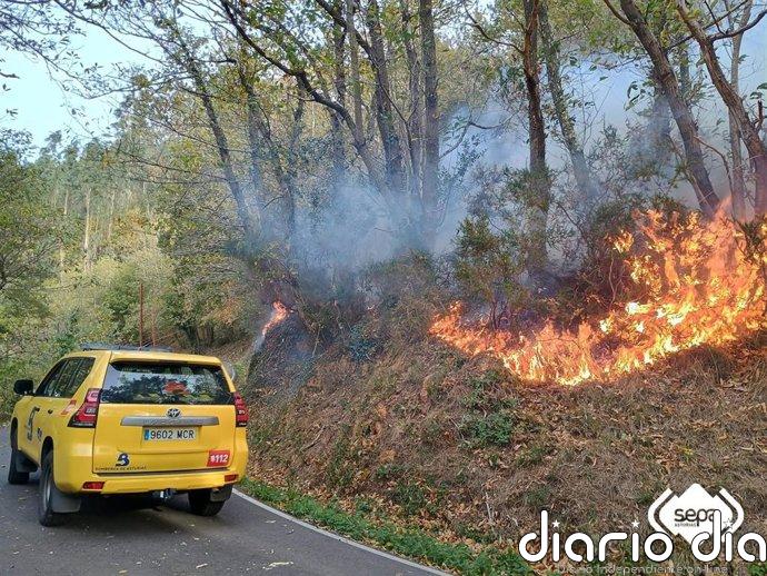 Un total de 46 municipios asturianos están hoy en riesgo 'alto' de incendio forestal