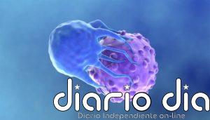 Una nueva terapia CAR-T logra respuestas contra la leucemia en modelos preclínicos con dosis más bajas