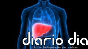 Una nueva terapia celular duplica la supervivencia sin trasplante en pacientes con cirrosis avanzada