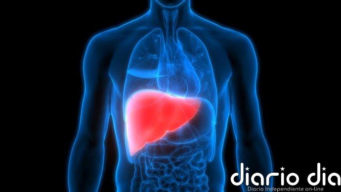 Una nueva terapia celular duplica la supervivencia sin trasplante en pacientes con cirrosis avanzada