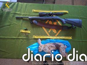 A disposición judicial un furtivo en Sotillo de la Adrada (Ávila) con un rifle y un conejo abatido