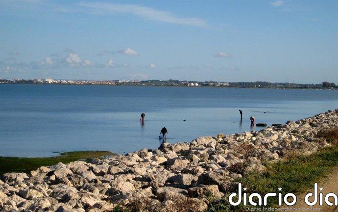Abierto el plazo para solicitar un total de 121 licencias de marisqueo a pie en Cádiz, Huelva y Sevilla