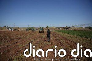 Agricultura eleva a 1.304 millones las ayudas por las borrascas tras un segundo pago de 223 millones