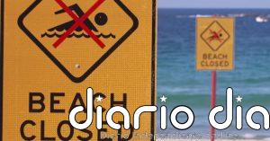Alarma en Sídney tras un nuevo ataque de tiburón a una bañista
