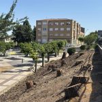 Amigos de la Tierra La Rioja advierte de pérdida de arbolado urbano en Alfaro y pide un cambio en la política ambiental