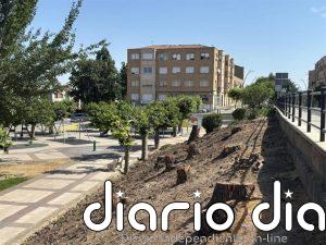 Amigos de la Tierra La Rioja advierte de pérdida de arbolado urbano en Alfaro y pide un cambio en la política ambiental