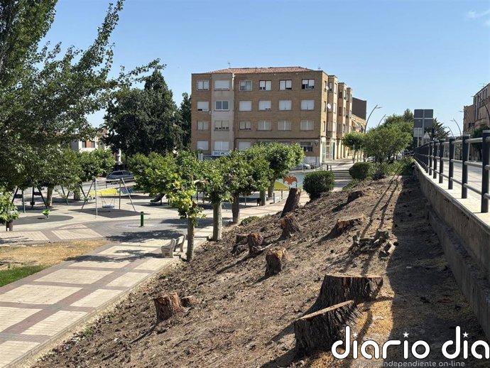 Amigos de la Tierra La Rioja advierte de pérdida de arbolado urbano en Alfaro y pide un cambio en la política ambiental
