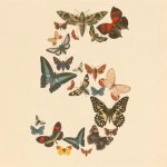 Anthropic lanza Claude Fable 5 y Mythos 5, sus dos modelos de IA más potentes