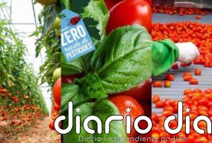 Azura obtiene la certificación B Corp para quienes operan su negocio de tomates cherry