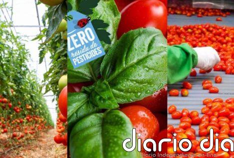 Azura obtiene la certificación B Corp para quienes operan su negocio de tomates cherry